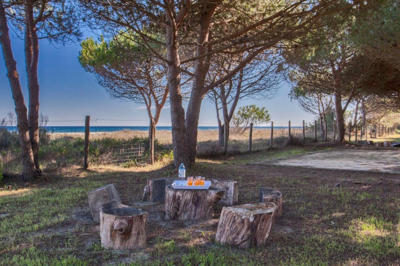 Maisons Bord De Mer- Marine De Sorbo - Gites 3 Epis พินาเรลลู ภายนอก รูปภาพ