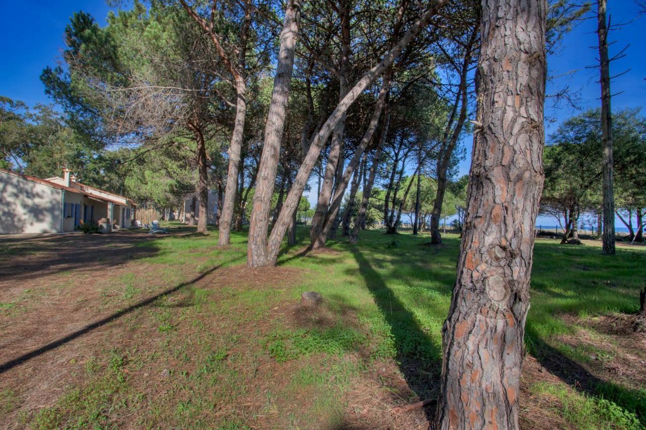 Maisons Bord De Mer- Marine De Sorbo - Gites 3 Epis พินาเรลลู ภายนอก รูปภาพ