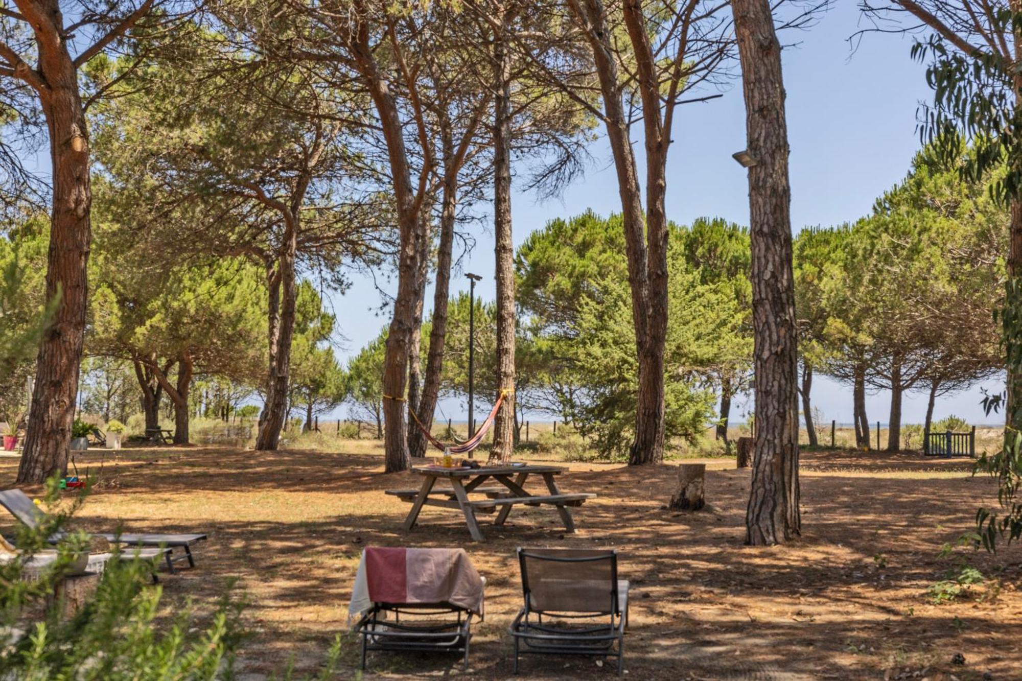 Maisons Bord De Mer- Marine De Sorbo - Gites 3 Epis พินาเรลลู ภายนอก รูปภาพ